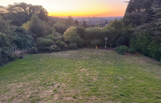 Garten nach den Pflegearbeiten